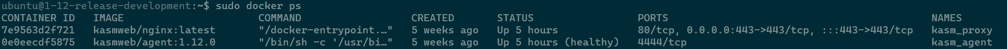 Checking the Status of the Kasm Agent and Proxy Containers
