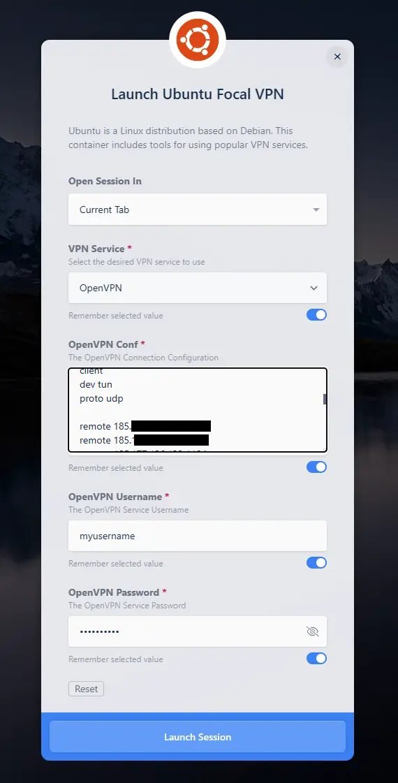 OpenVPN Workspace Launch Form