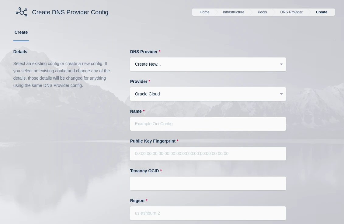 OCI DNS Provider