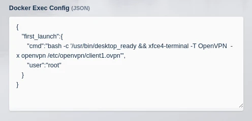 Docker exec config details for mapping in an OpenVPN connection profile