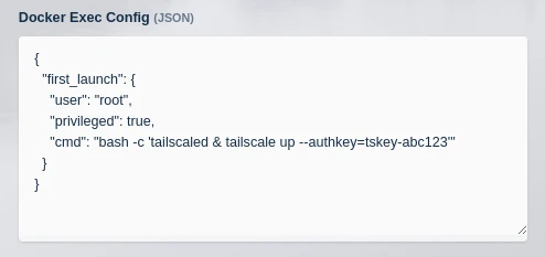 Docker exec config details for Ubuntu Jammy with Tailscale