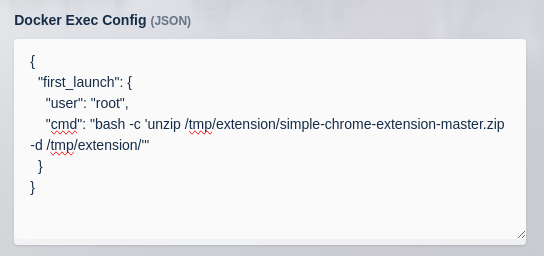Docker exec config