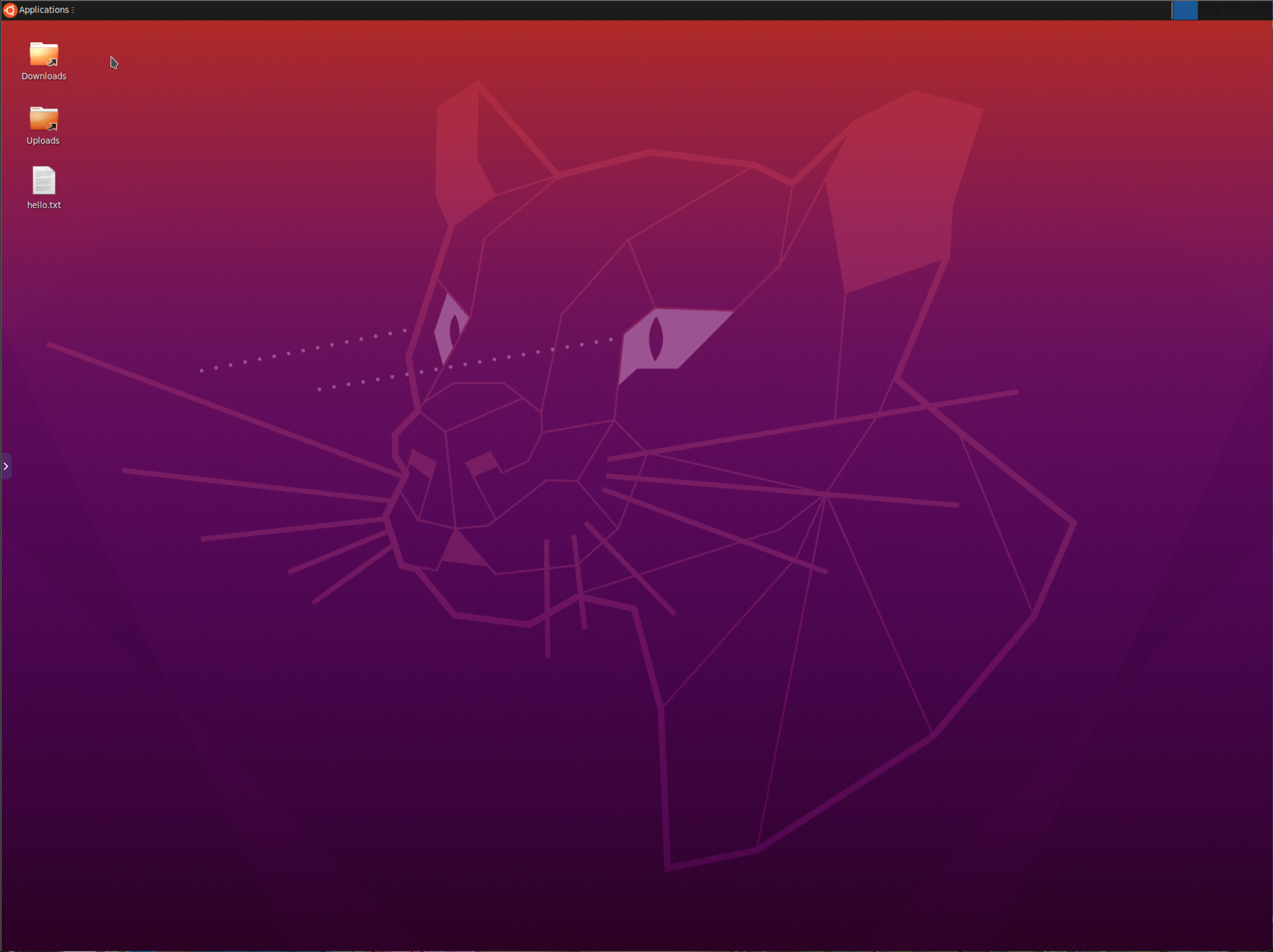 Running the custom Image