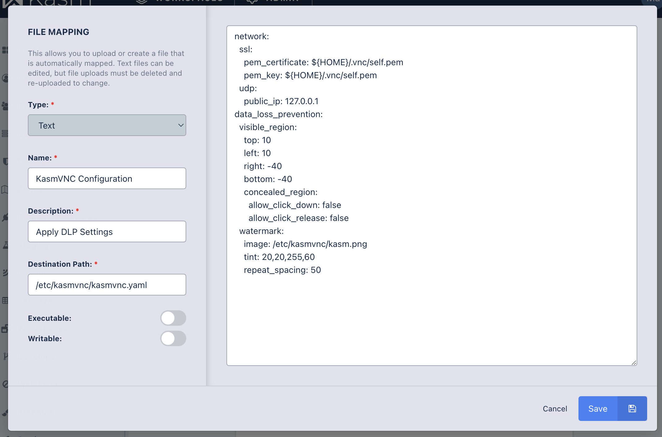 File Mapping for KasmVNC Policy