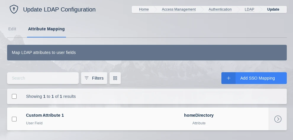 LDAP Attribute Mapping