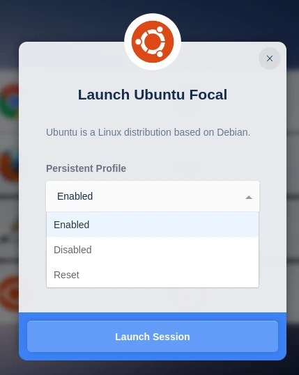 Persistent Profiles