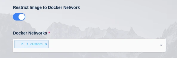 Restrict Image to Docker Network