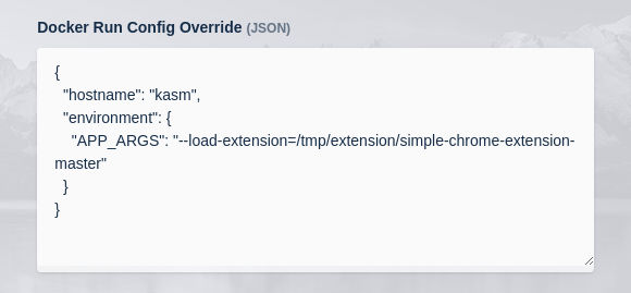 Docker run config override