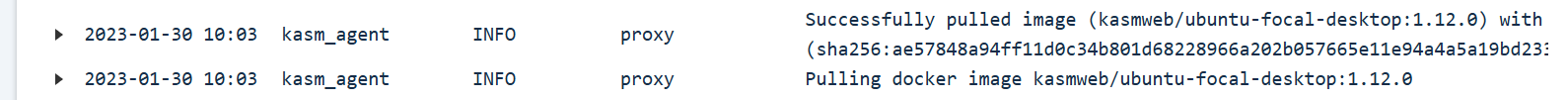 Successful Logs Messages for Kasm Agent Image Pull
