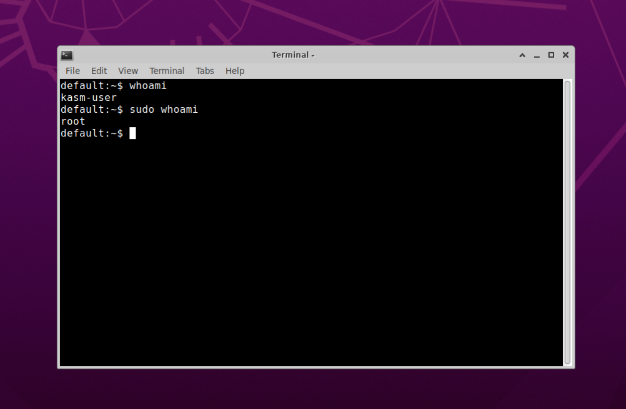 Sudo Installed and Working on the Desktop
