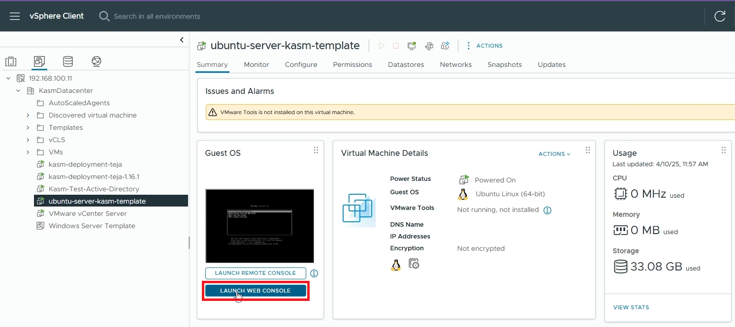 Launch a Web Console