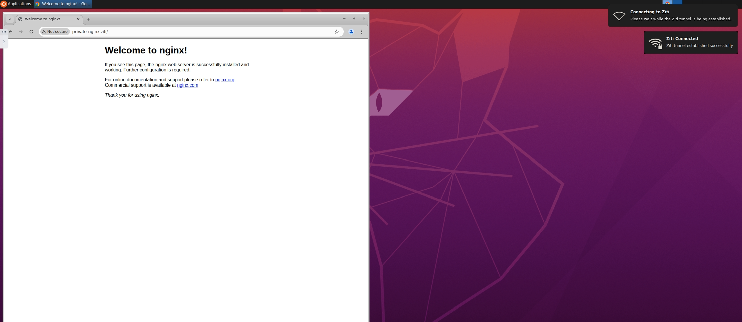 OpenZiti Workspace