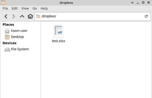 Dropbox files mapped inside a session