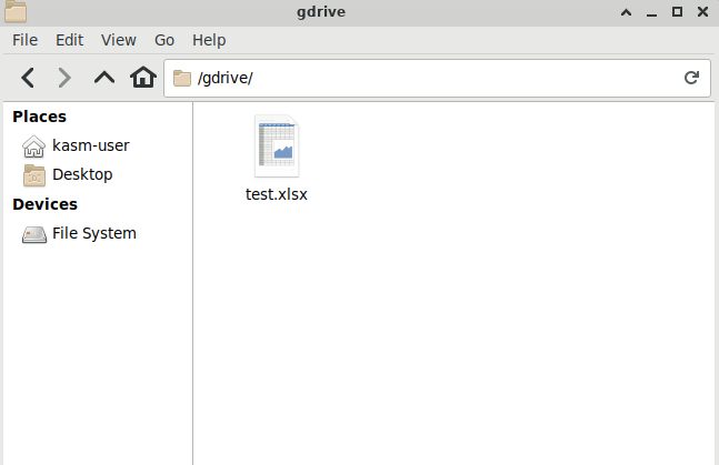Google Drive files mapped inside a session