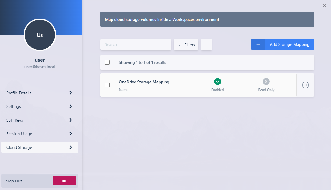 The OneDrive storage mapping in the profile